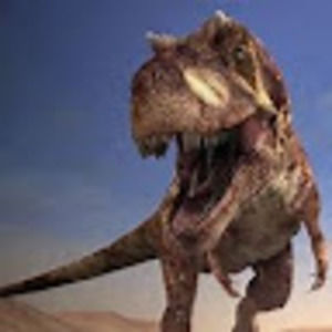 Meet your Posher, Brooklynn